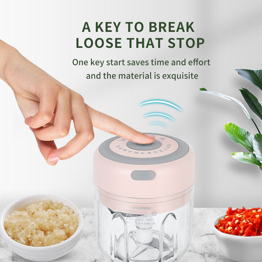 USB Mini Garlic Chopper