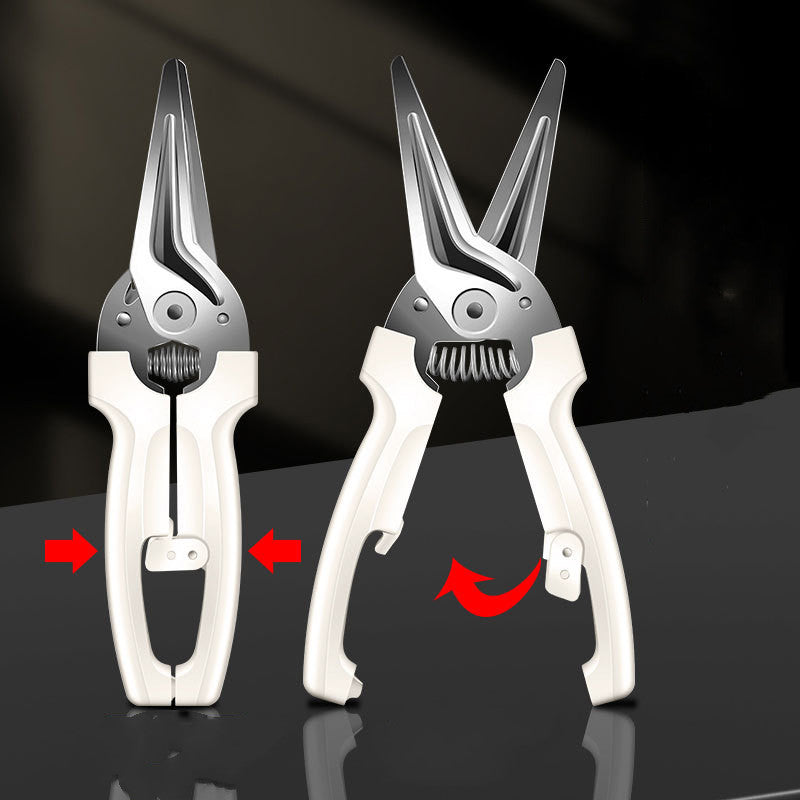 Household Kitchen Scissors